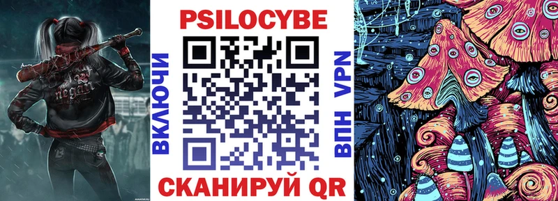 Псилоцибиновые грибы Cubensis  закладка  Красноперекопск 